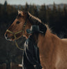Why Do Cowboys Wear Leather Hats?