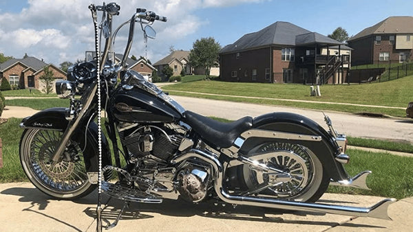 Why Do Motorcyclists Have Whips?